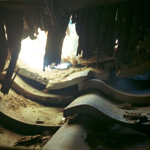 Mayumi Hamanaka, Studio Islander, From within