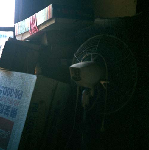 Mayumi Hamanaka, Studio Islander, From within