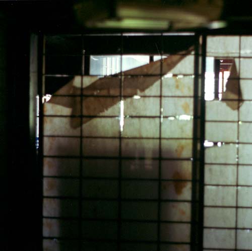 Mayumi Hamanaka, Studio Islander, From within