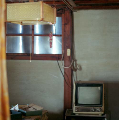 Mayumi Hamanaka, Studio Islander, From within