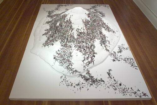 Mayumi Hamanaka, Studio Islander, Japanese Happy Mountain