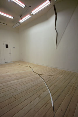 Taro Hattori, Studio Islander, Apoptosis, Space 47