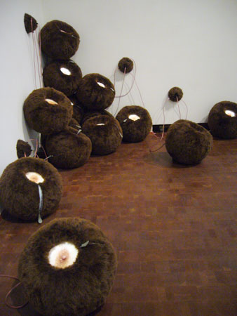 Studio Islander, Taro Hattori, Mayumi Hamanaka, Western Washington University, Fabric