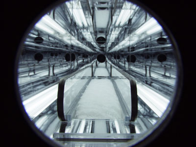 Taro Hattori Moving Walkway Mirror Faux Fur