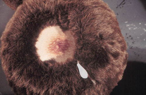 Taro Hattori nippletta male nipples Faux Fur