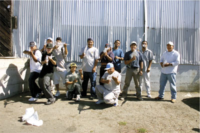 Taro Hattori Packed Plastic Guns M16 M249 Day Laborors